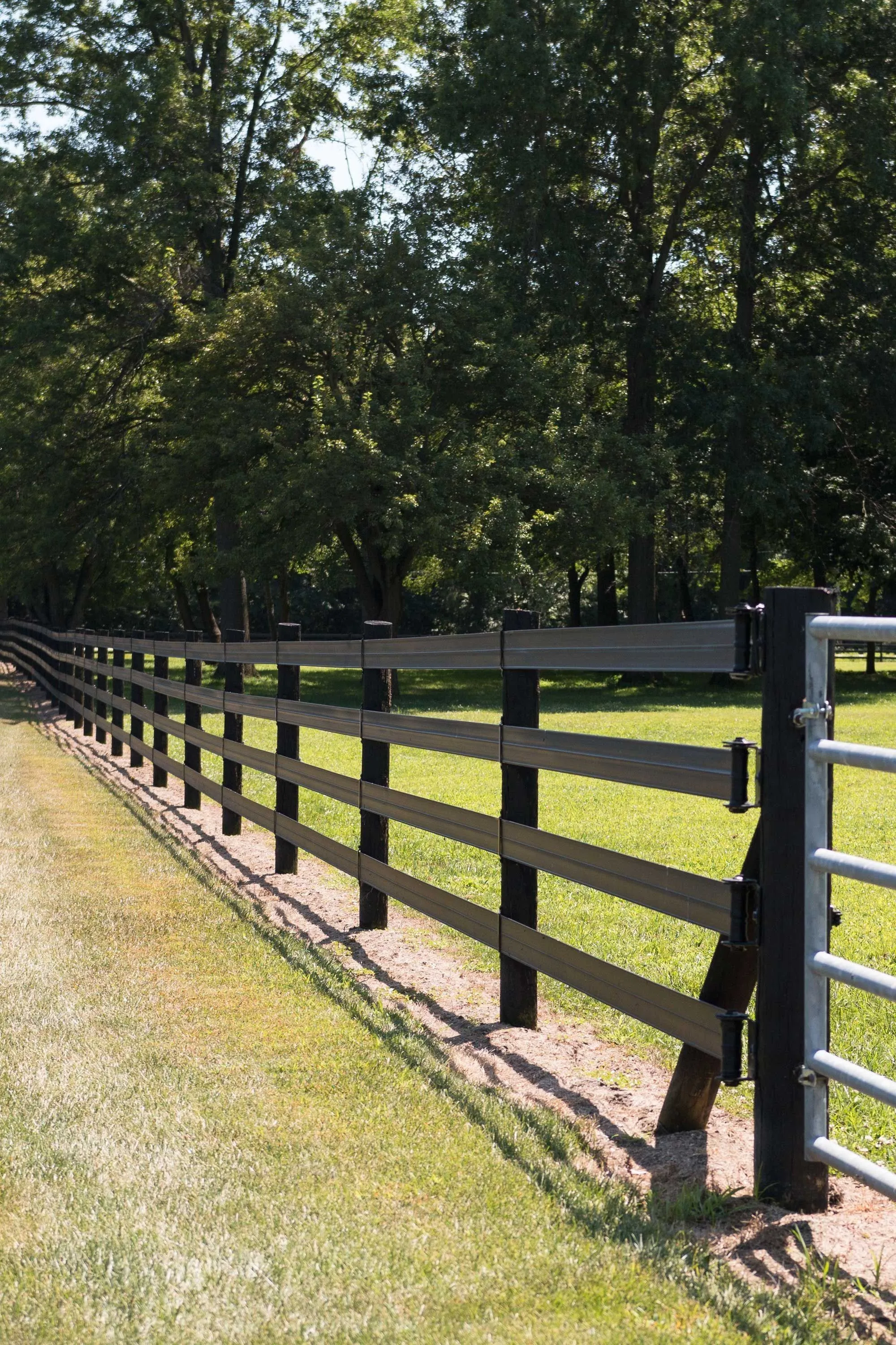 Equine Pipe Corral